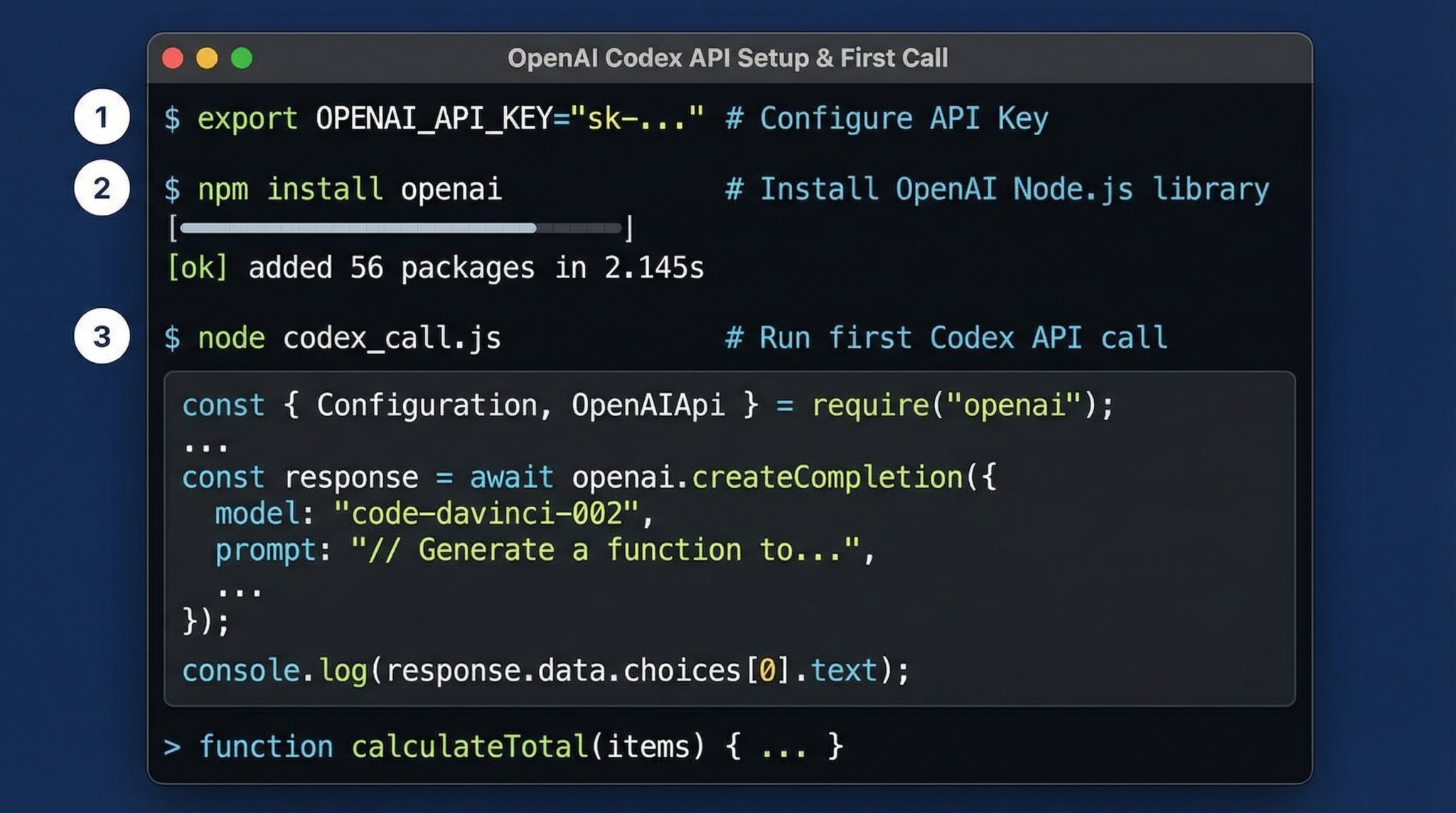 OpenAI Codex API setup terminal showing configuration steps
