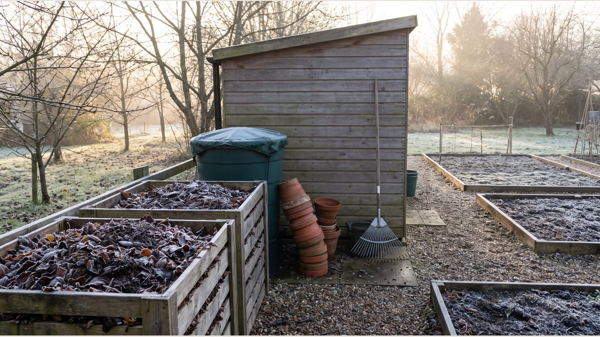 Frosted compost bays, empty terracotta pots and a covered water butt beside a shed.